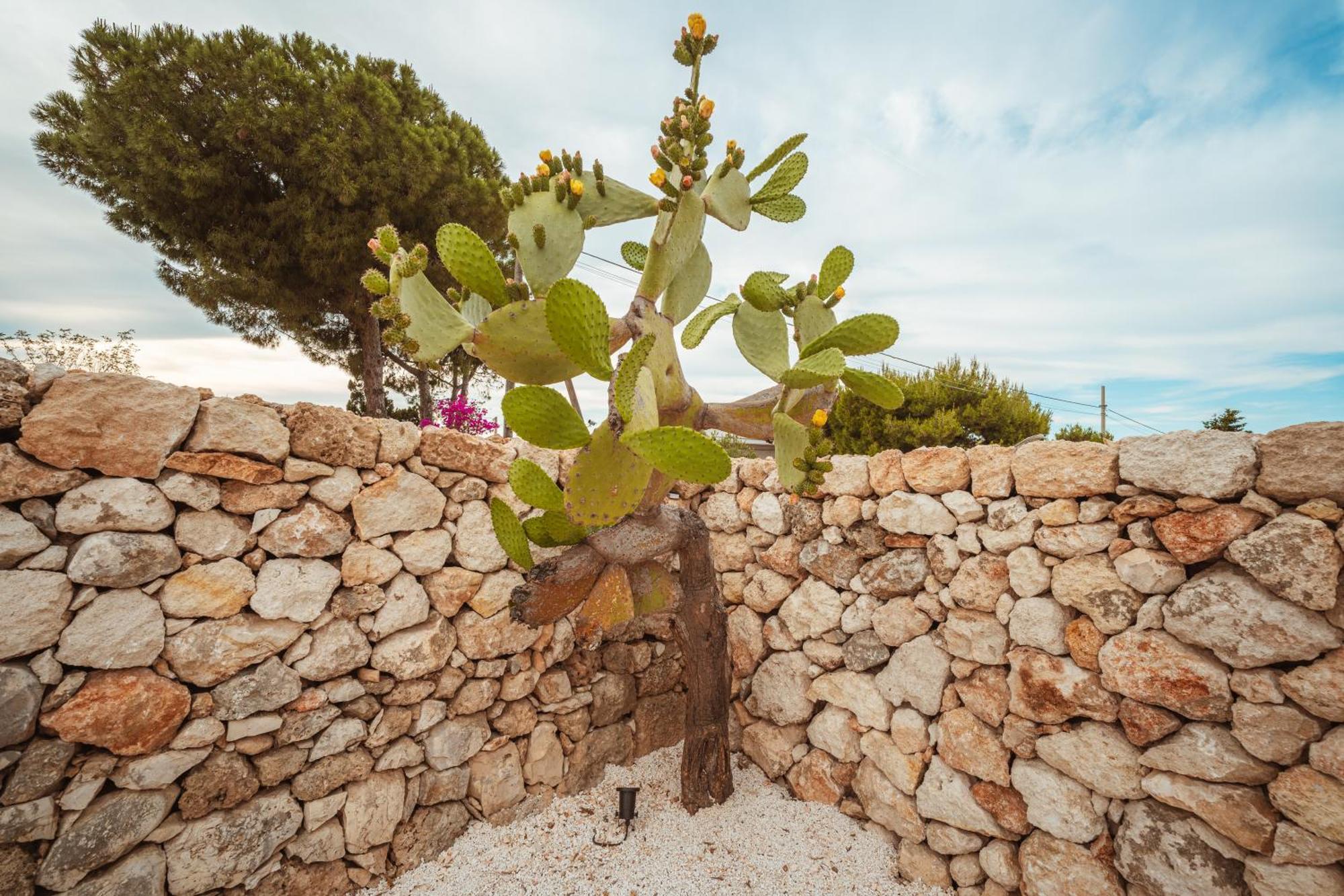 Trullomare & Pool - Housea Villa Polignano a Mare Exterior photo